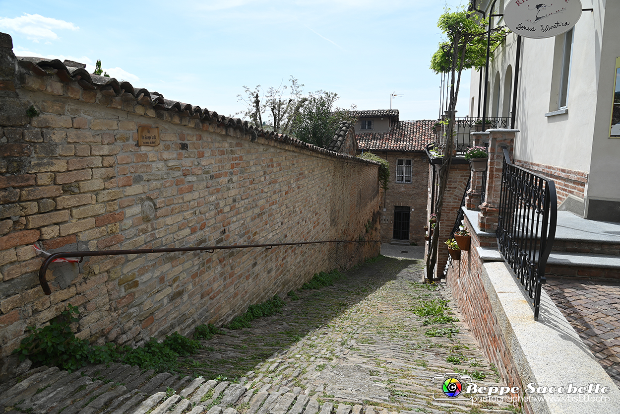 VBS_2822 - Neive.jpg
